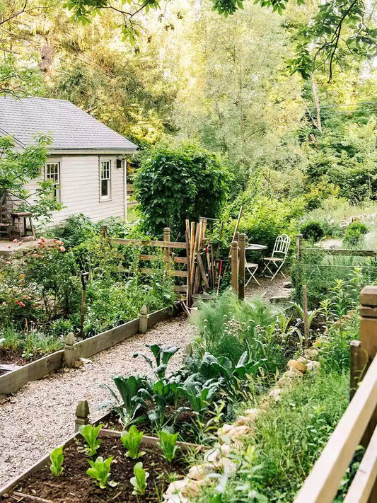 Natural Garden Remedies: 4 Homemade Plant-Based Solutions for Pest Control - The Tradwife